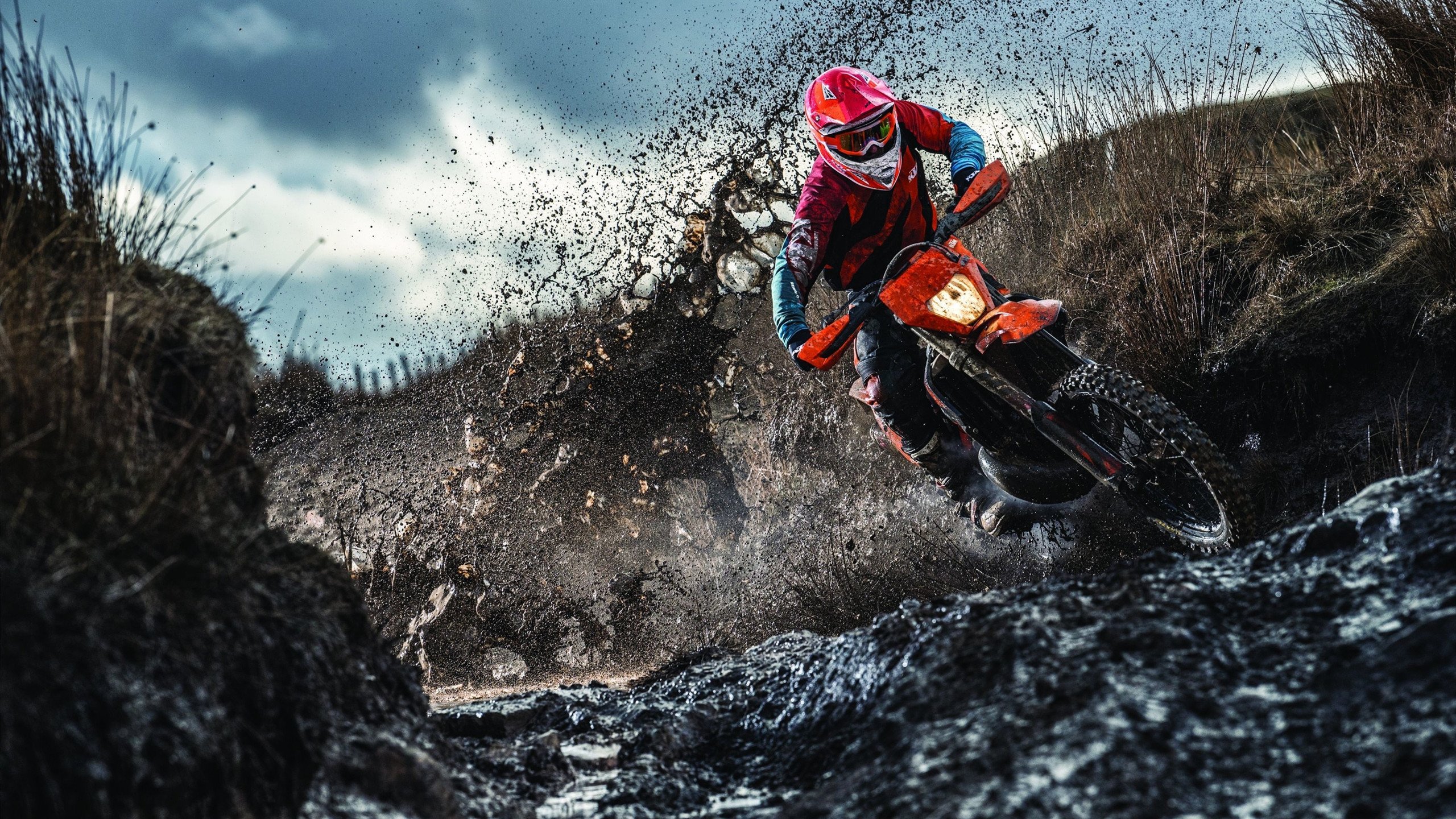 国王加冕夜，当萨克拉门托的雷霆响彻联盟，塔图姆已悄然完成关键先生的终极蜕变